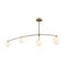 Потолочный светильник Freya Hanger FR5443CL-04BS
