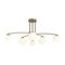 Потолочный светильник Freya Hanger FR5443CL-06BS
