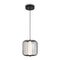 Подвесной светильник Freya Sabi FR6131PL-L13B