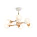 Потолочный светильник Freya Amy FR5105CL-06W Потолочный светильник Freya Amy FR5105CL-06W