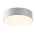Потолочный светильник Maytoni Zon IP O431CL-L30W3K Потолочный светильник Maytoni Zon IP O431CL-L30W3K