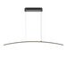 Подвесной светильник Maytoni Curve MOD243PL-L18BK